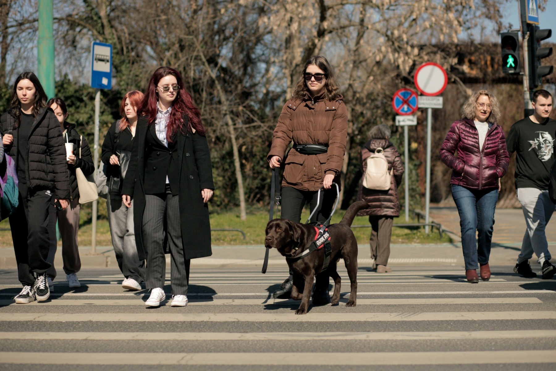 O persoană nevăzătoare travesrează pe strada pe trecerea de pietoni, ajutată de un câine ghid