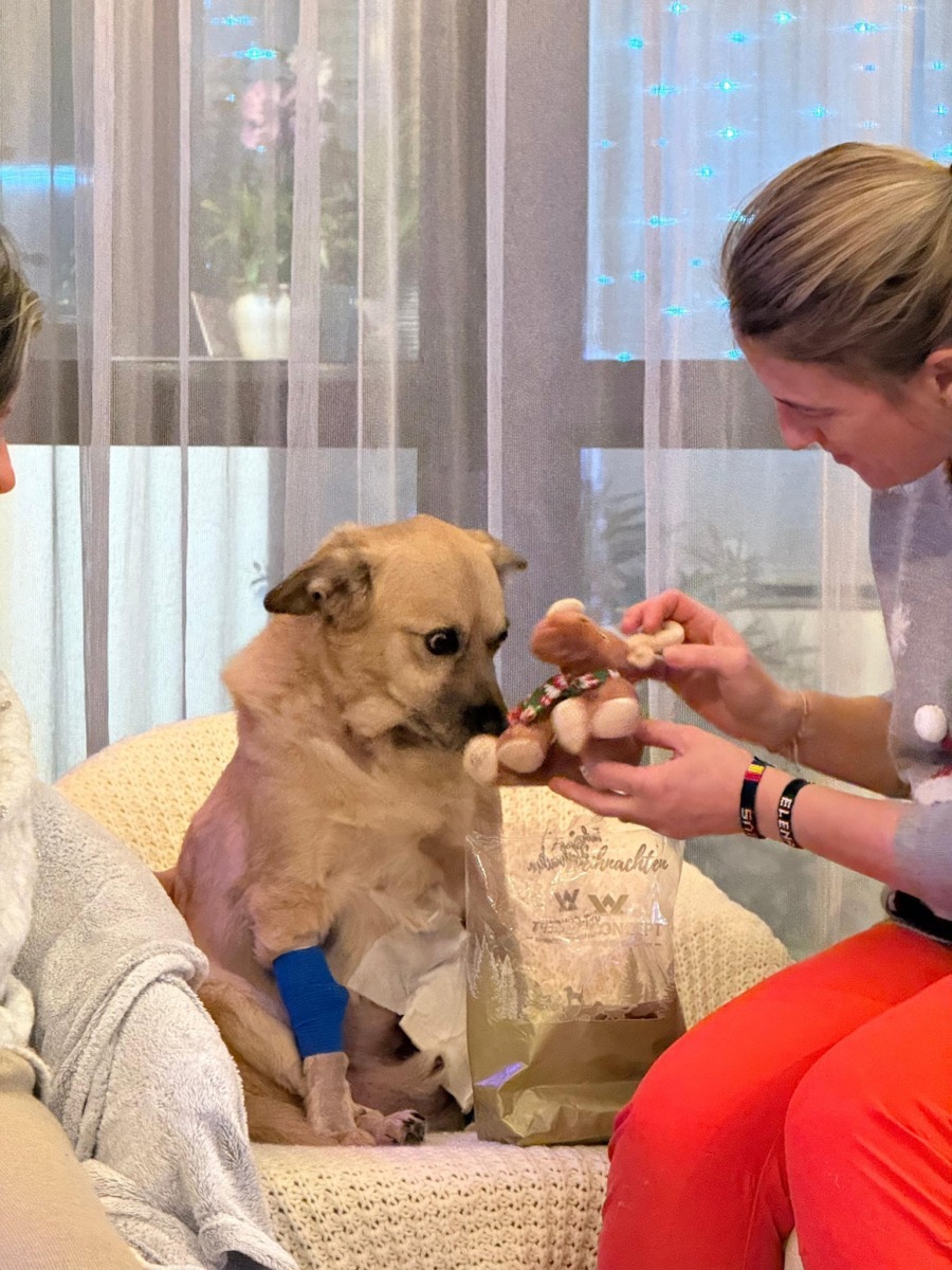 Costi / Kola Kariola