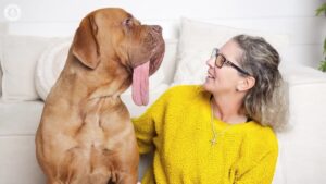 cainele cu cea mai lunga limba din lume