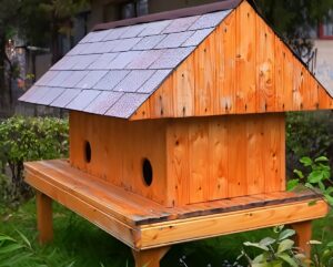 Căsuță pentru pisicile comunitare din Ploiești