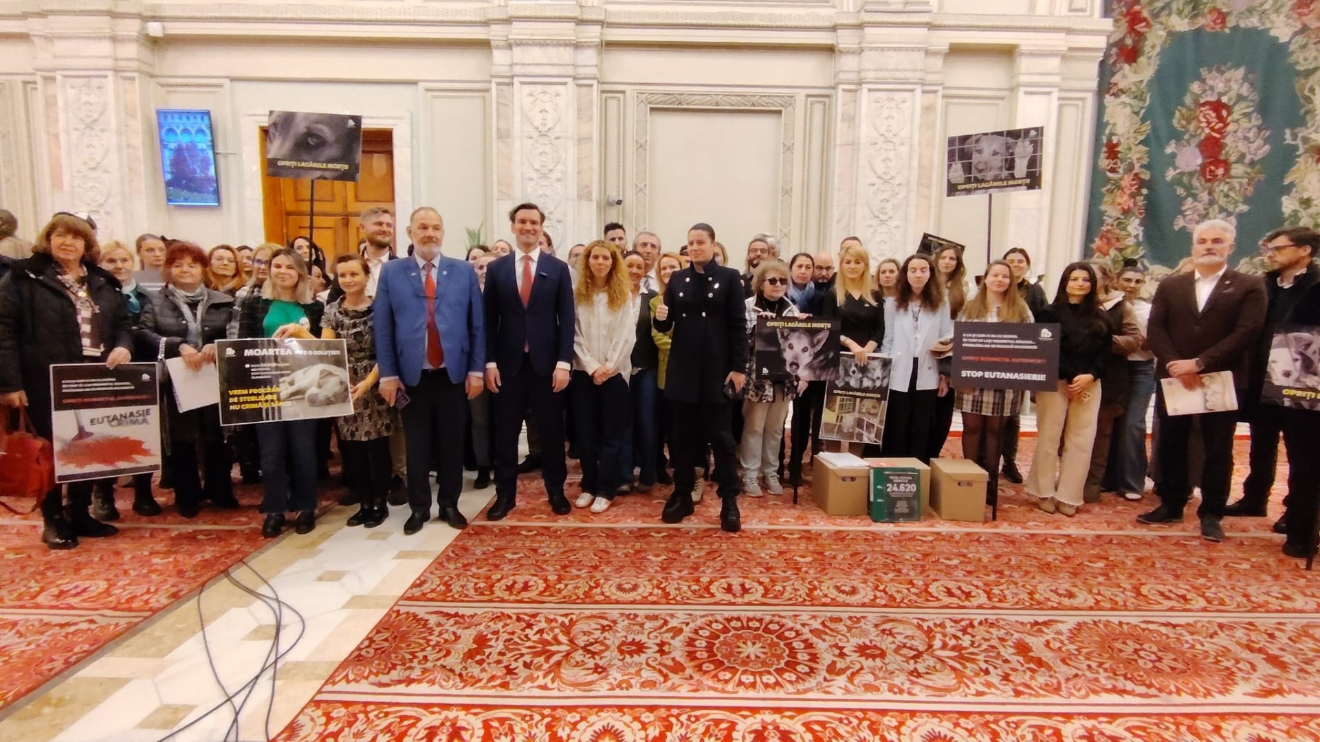 cele-mai-asteptate-modificari-la-legile-din-zona-protectiei-animalelor-au-fost-depuse-la-senat