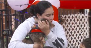 revedere intre stapana si caine