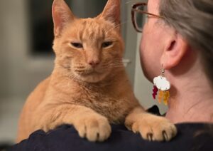 O pisică portocalie stă pe umărul unei femei