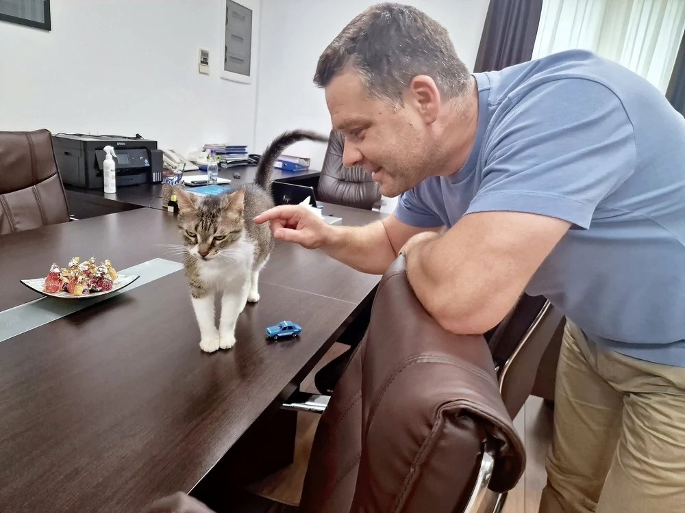 ciucu si pisica jessy