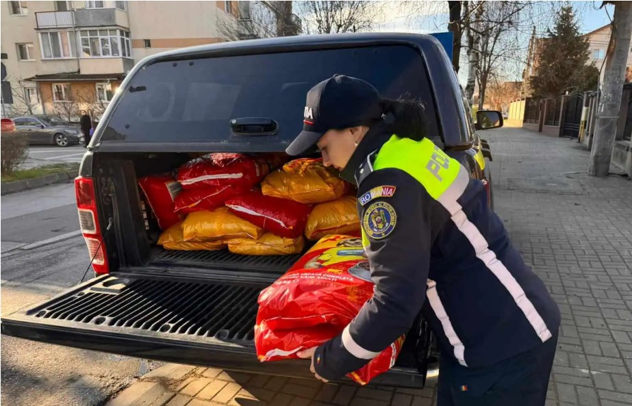 donatii mancare pentru caini