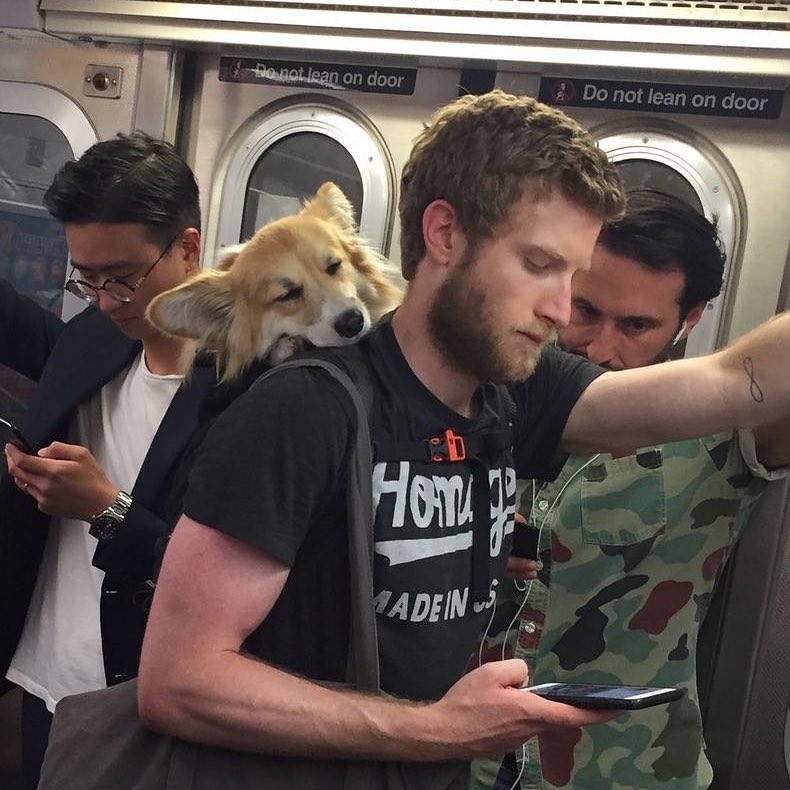 downloadgram.org_20759207_268283790340759_7591615511864016896_n