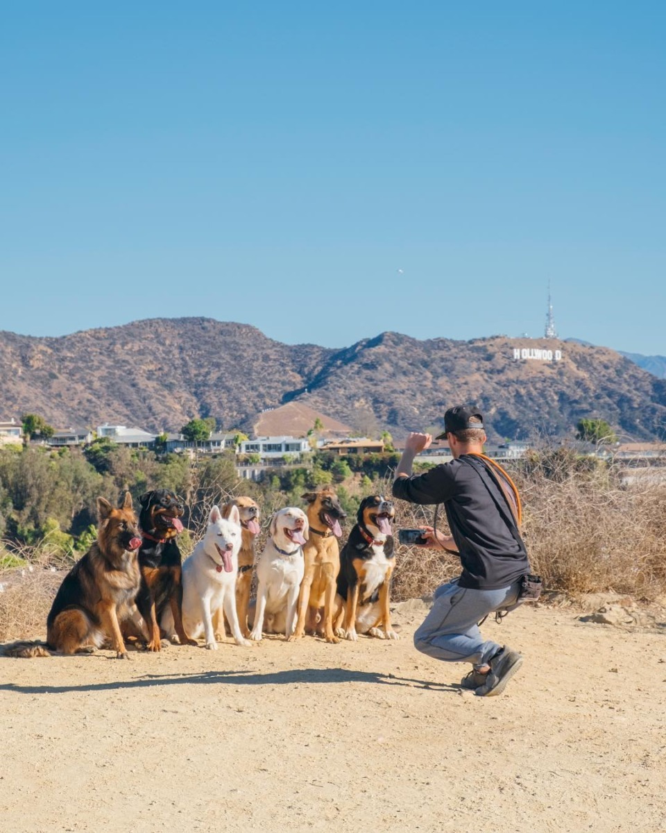 downloadgram.org_25036563_184170452323003_2227663055259435008_n