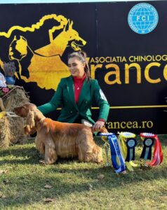 enzo-best-cocker-2025-