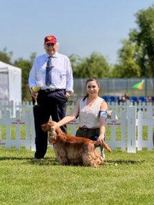 enzo-best-cocker-2025