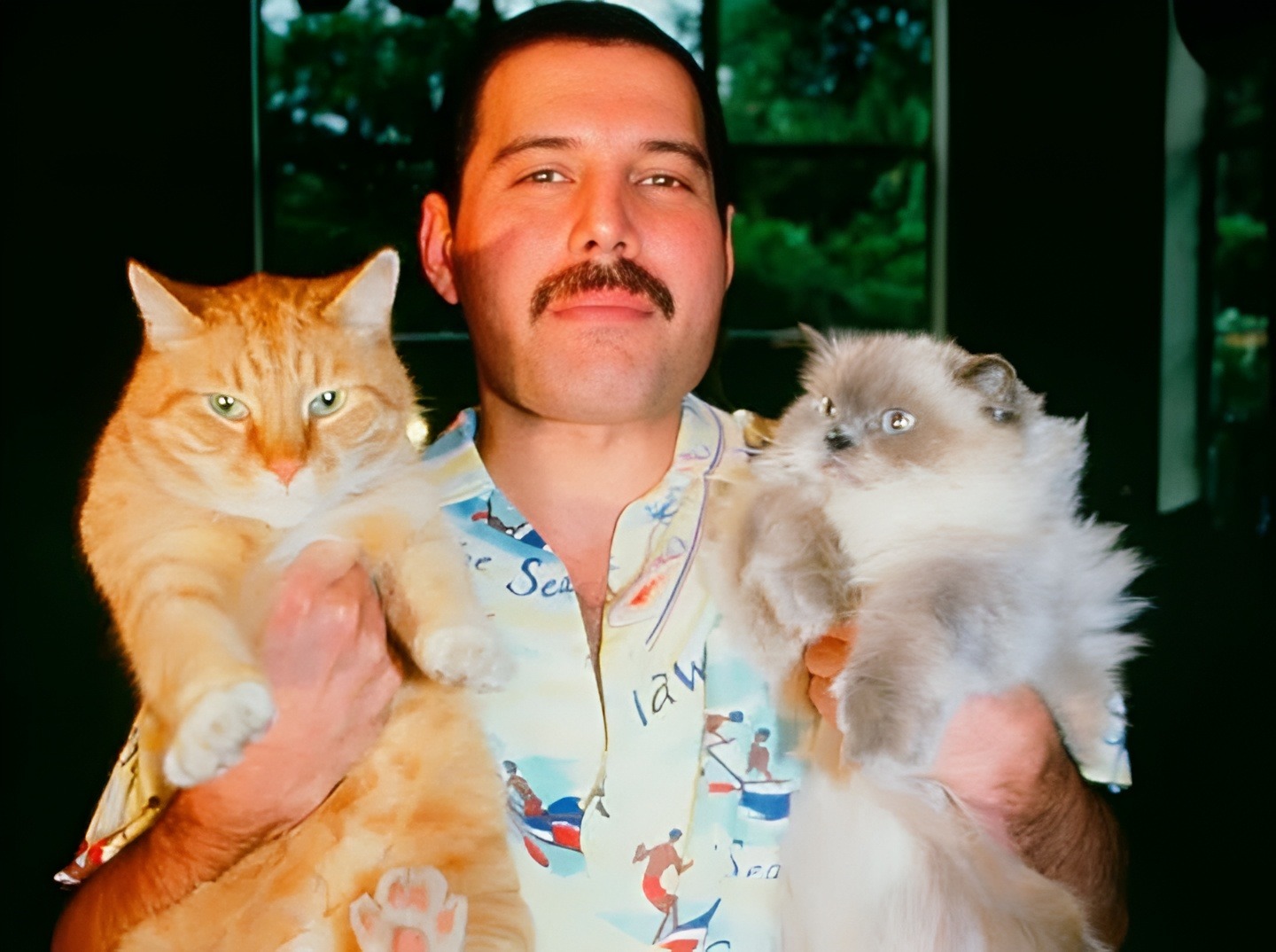 Freddie Mercury și două dintre pisicile sale