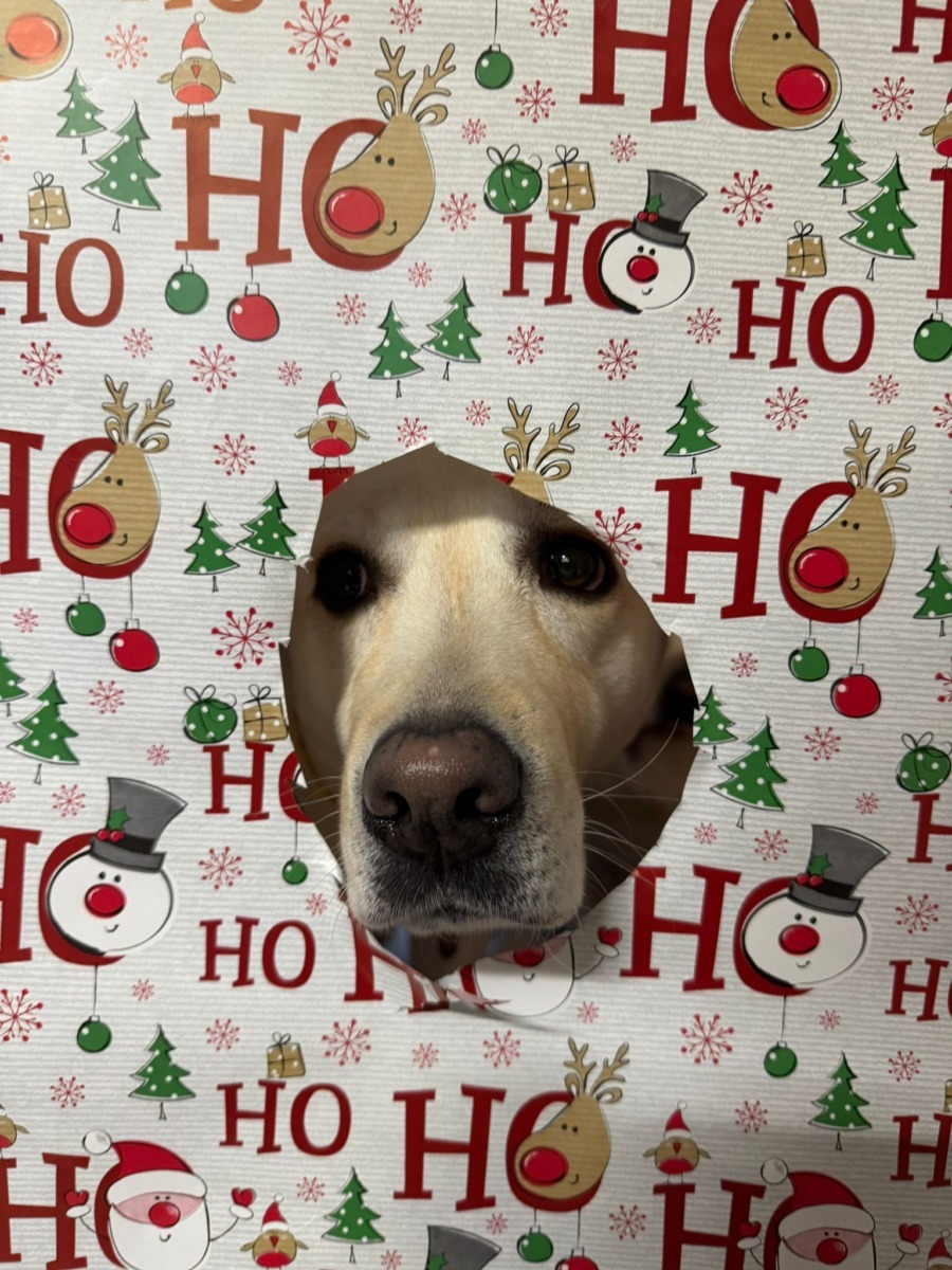 kira-pe-roti-craciun---