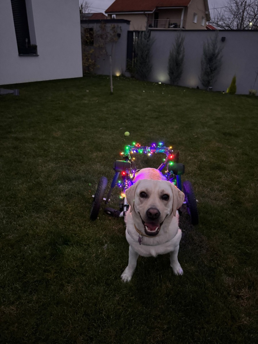 kira-pe-roti-craciun