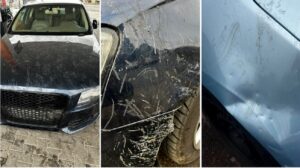 masini distruse de caini maidanezi