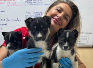 Medicul veterinar Beatrice Ilea ține în brațe trei pui de câine