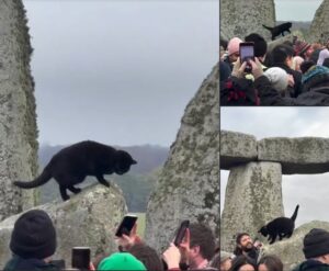 pisica neagra la Stonehenge