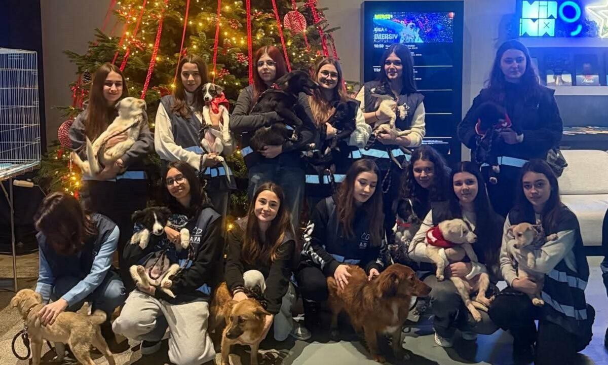 targ de adoptii ASPA