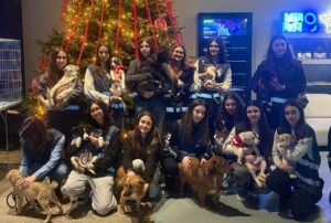 targ de adoptii ASPA