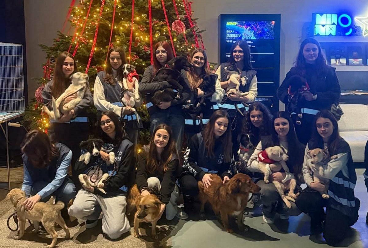 targ de adoptii ASPA