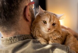 stapanul imbratiseaza pisica