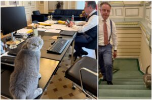 motanul Maximus si premierul belgian Bart De Wever