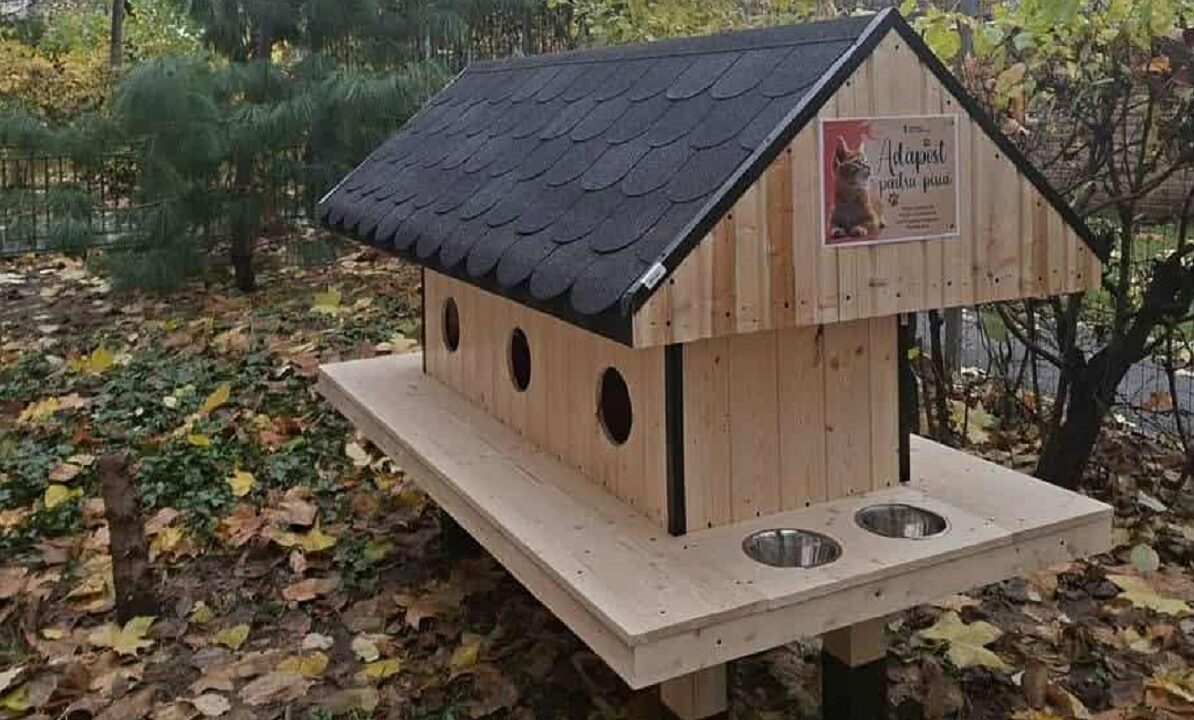 casuta pentru pisici