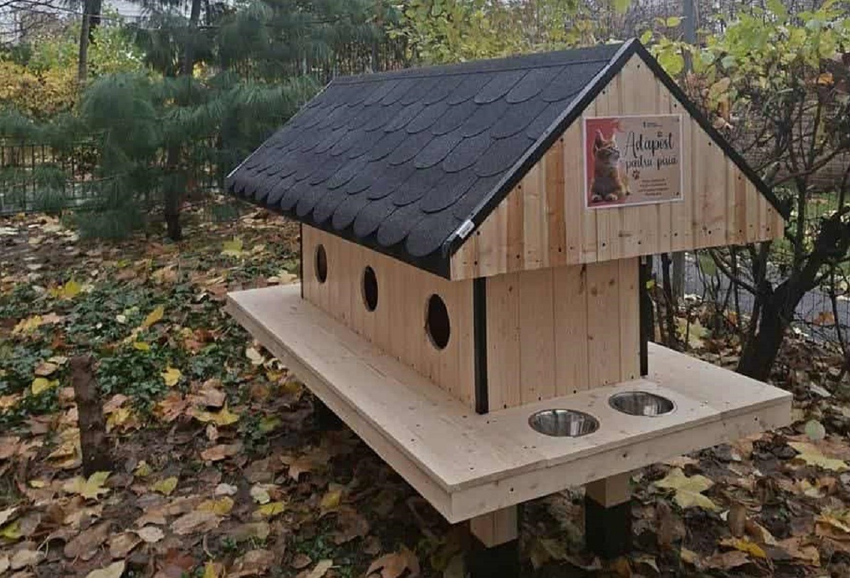 casuta pentru pisici