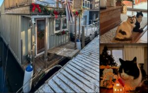 casa plutitoare decorata de craciun