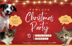 Afiș Paw Luck Christmas Party