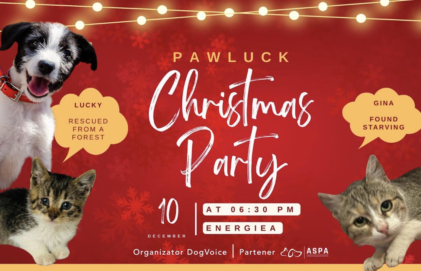 Afiș Paw Luck Christmas Party