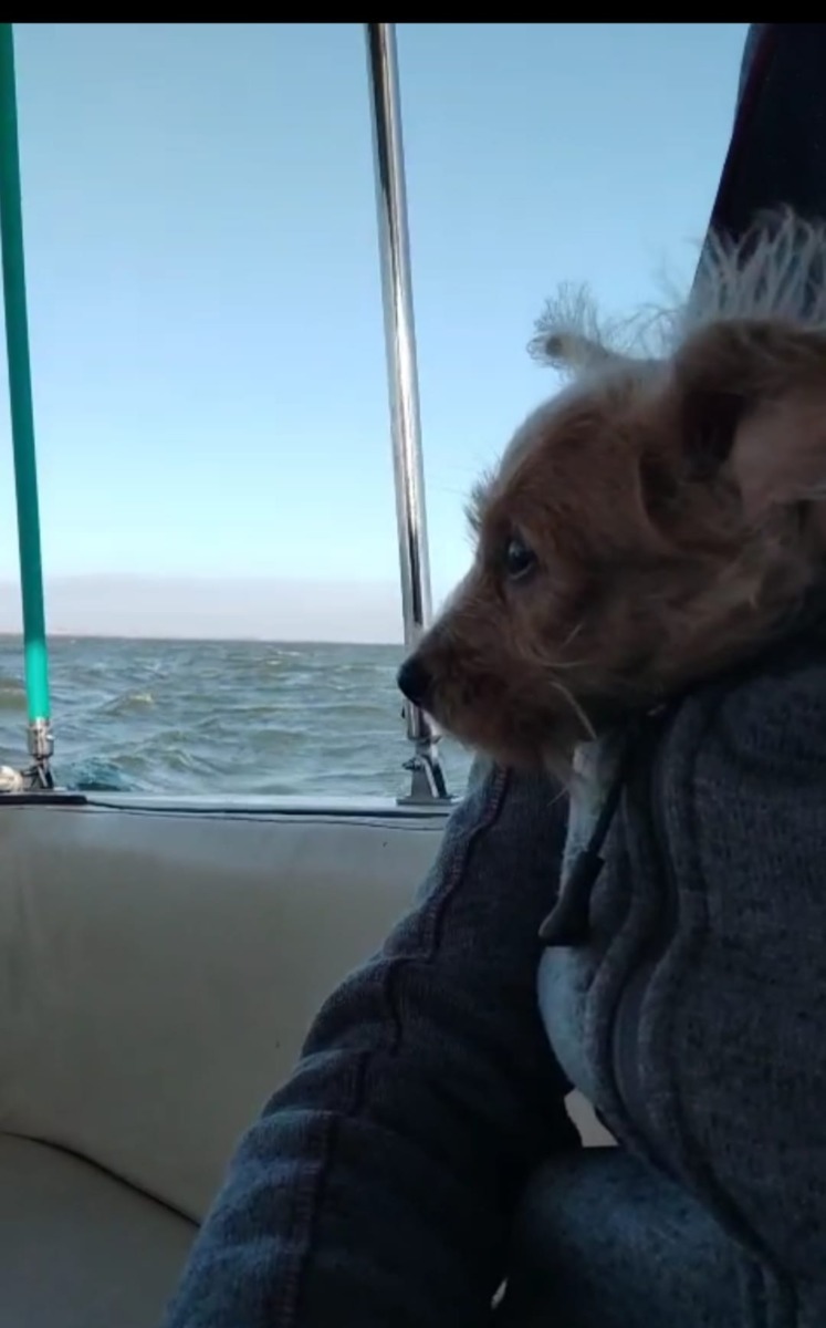 pike-catel-aspa-barca