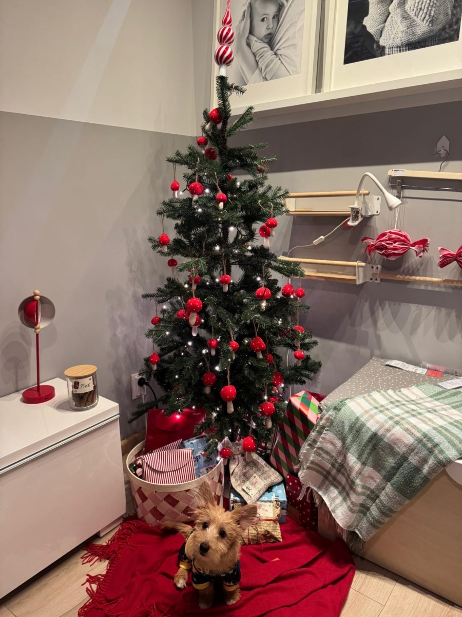 pike-catel-aspa-craciun2