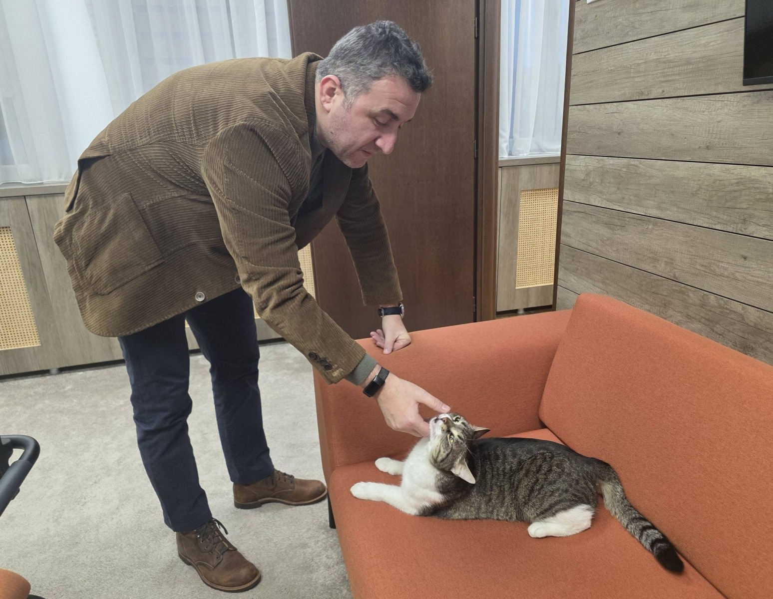 pisica-jessy-primar-birou