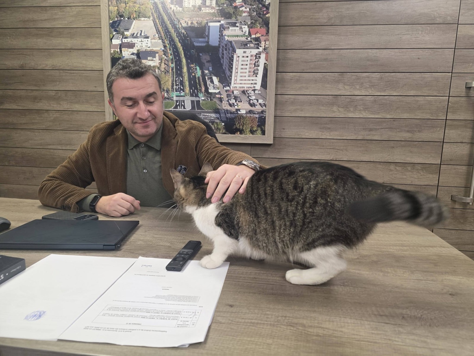 prisia-jessy-birou-primar