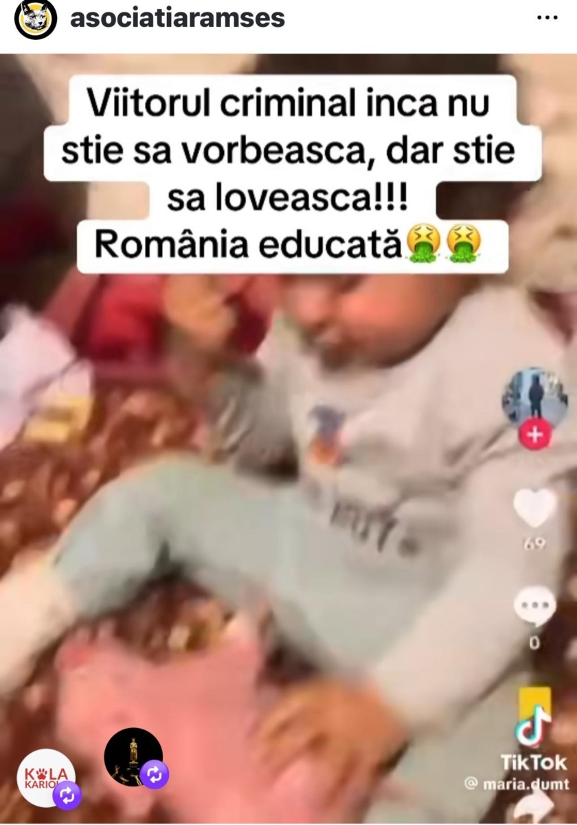 FOTO Dreptate pentru animale / Facebook