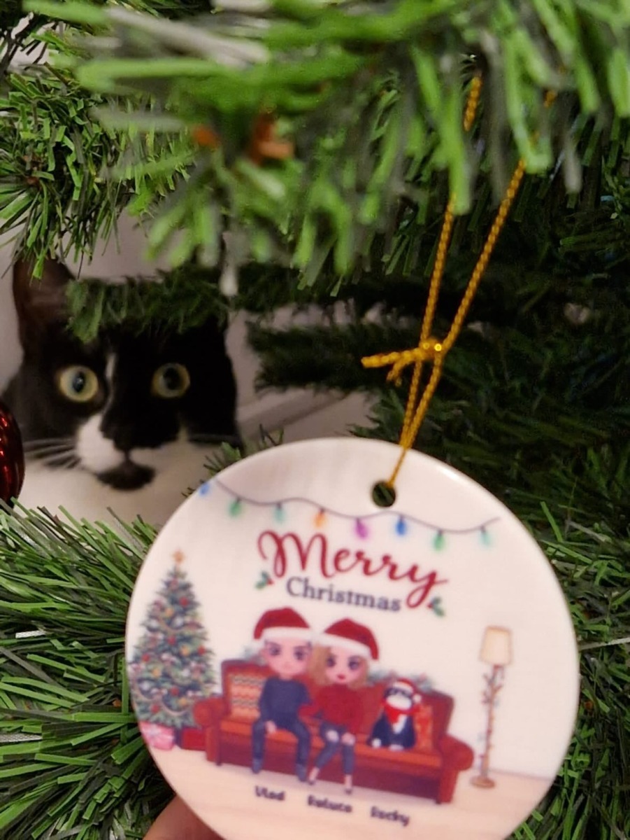 rocky-tuxedo-craciun----