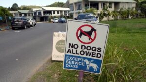 satul fara animale de companie