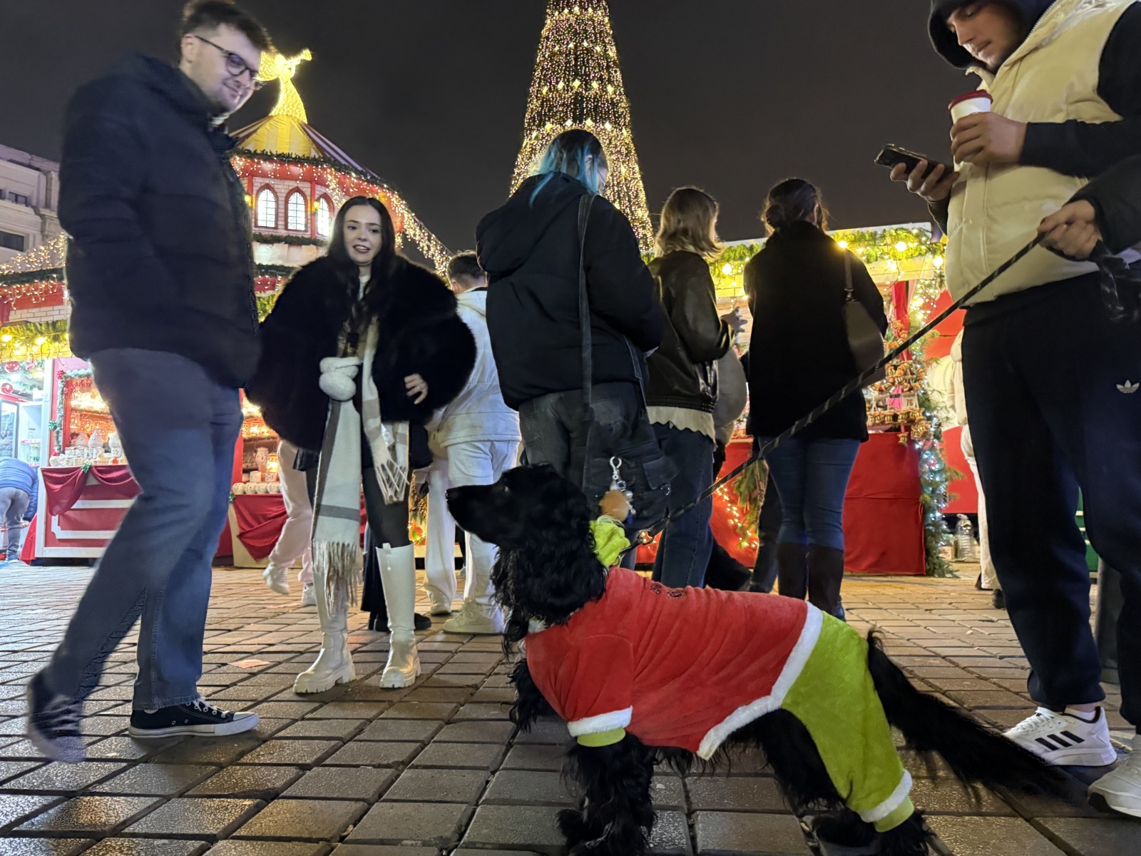 Câine printre oameni la Târgul de Crăciun din București