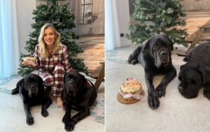 catelusa Andreei Ibacka