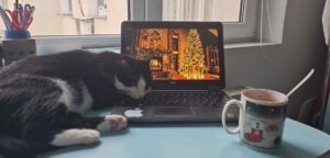 Un motan doarme pe un laptop