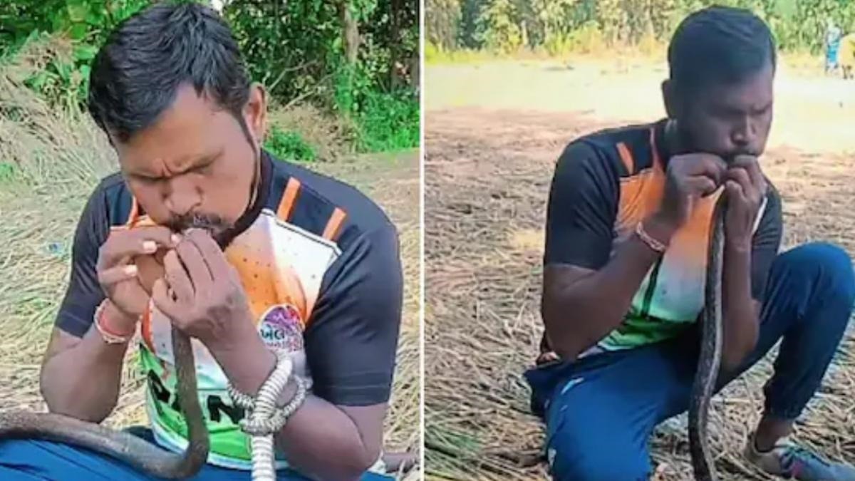 un indian salveaza sarpele