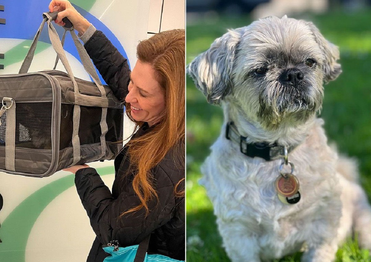 Câine clonat și stăpâna lui