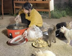 O tânără din China hrănește mai multe pisici