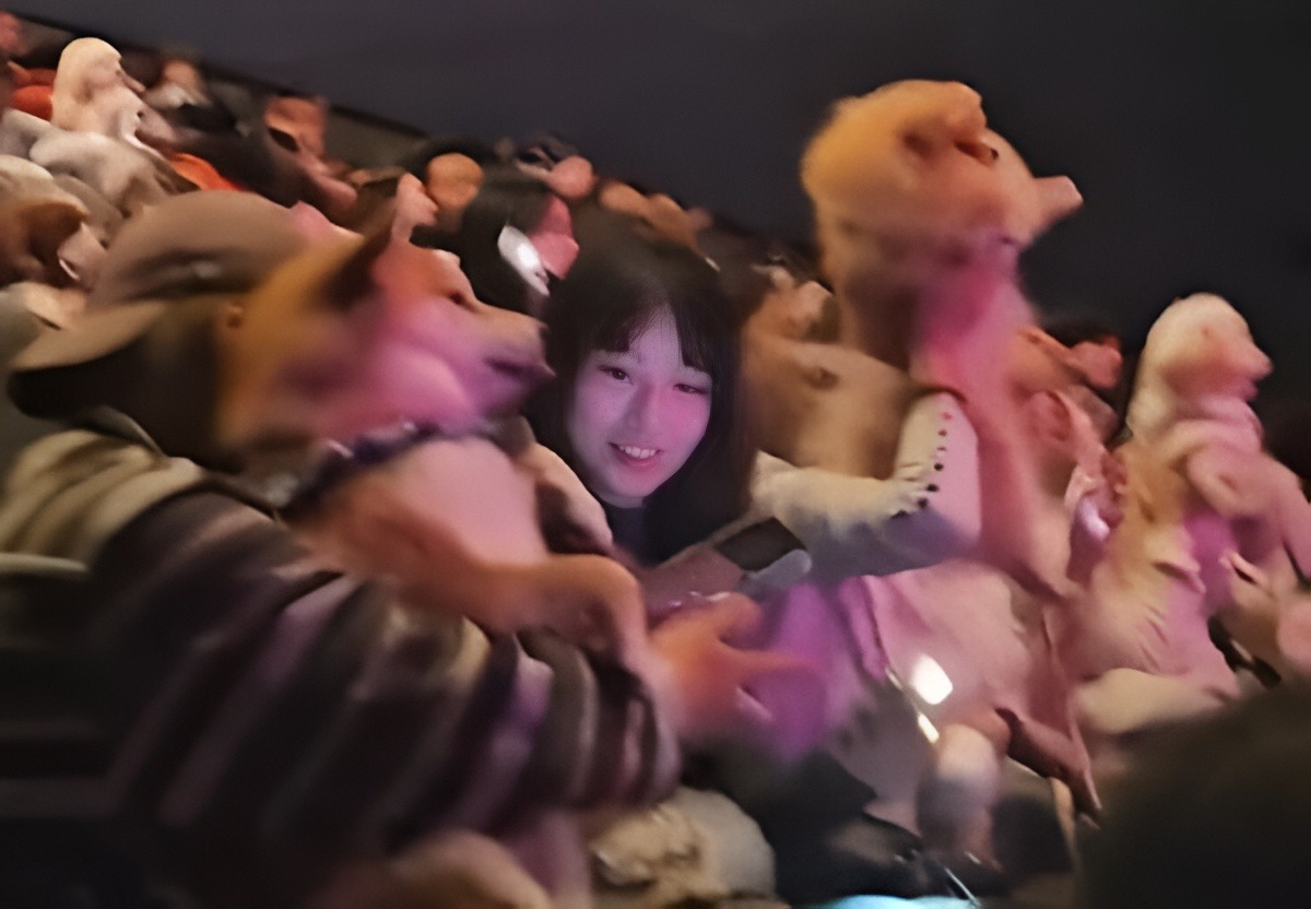 Sală de cinema pet-friendly în China