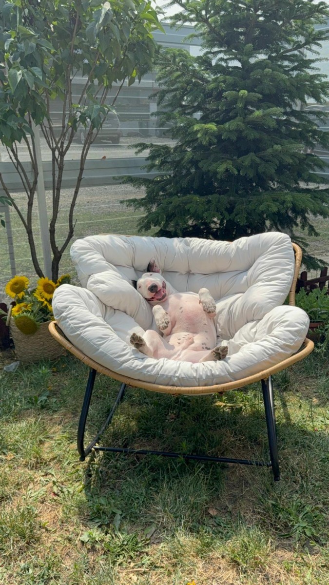 19cfe62a-856c-4fb8-b26f-dfe09e1ad2b7