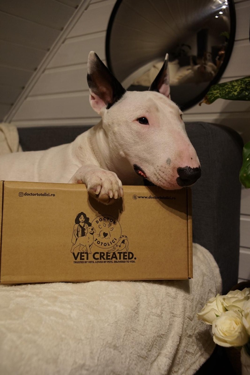 36b2cfce-16c8-4131-9111-6c1a2be715b5