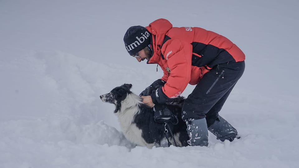 480909910_9168317773205973_646135064380892213_n