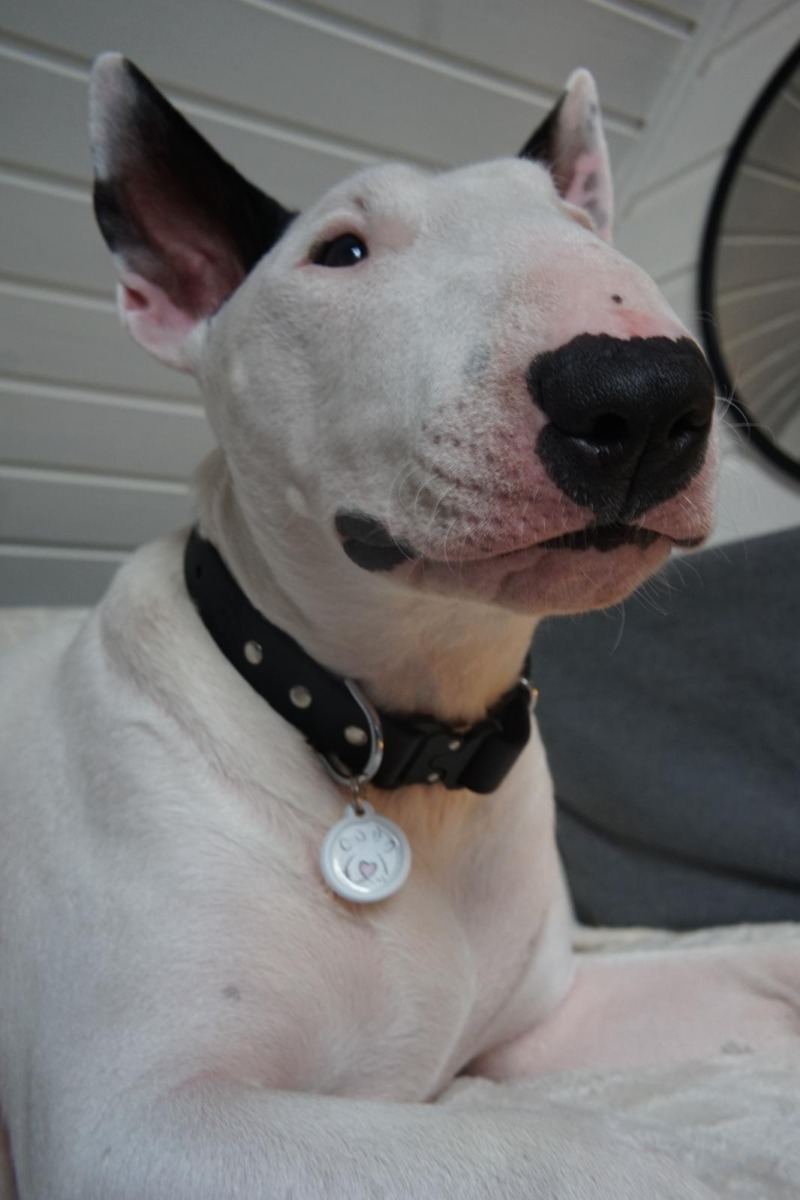 518e3ee3-87fe-4d88-9859-b7c40ed5e4a3