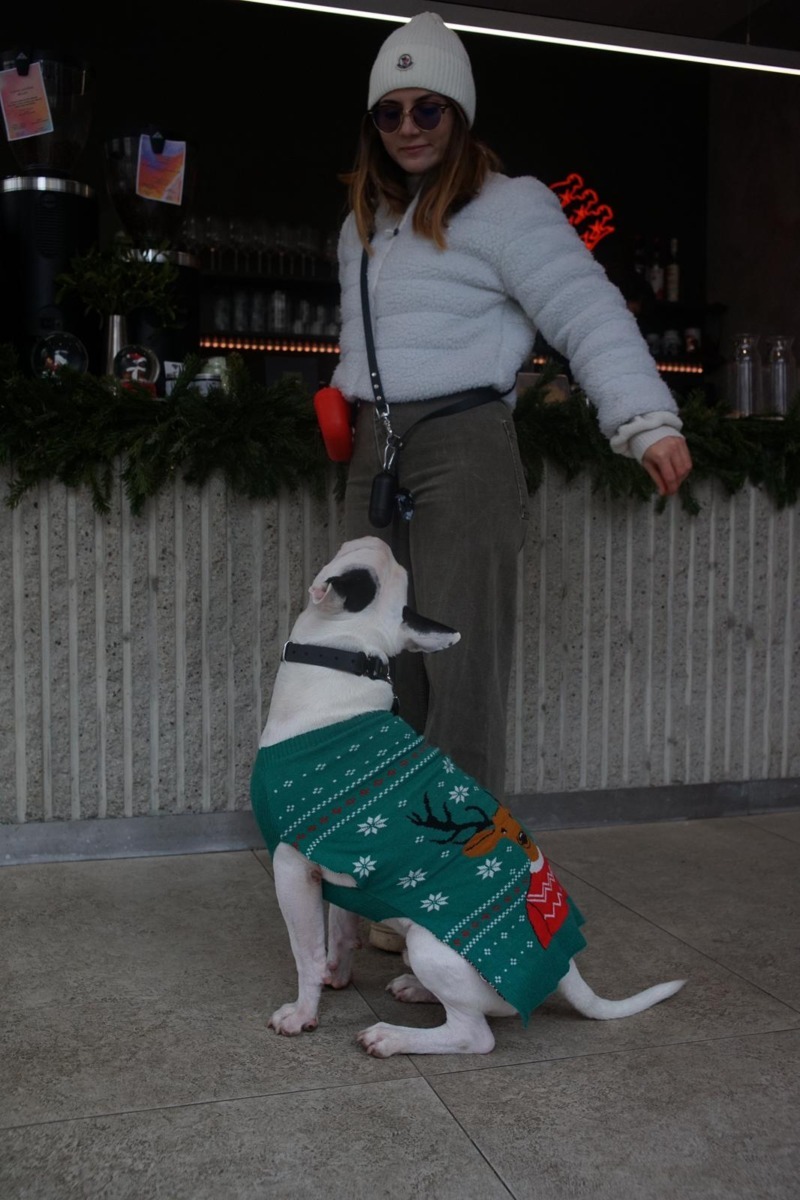 585d6049-3aab-462d-b6ca-ea58cc06d406