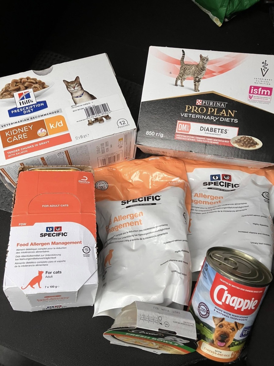 589954268_122266180670217316_3058639297418887776_n