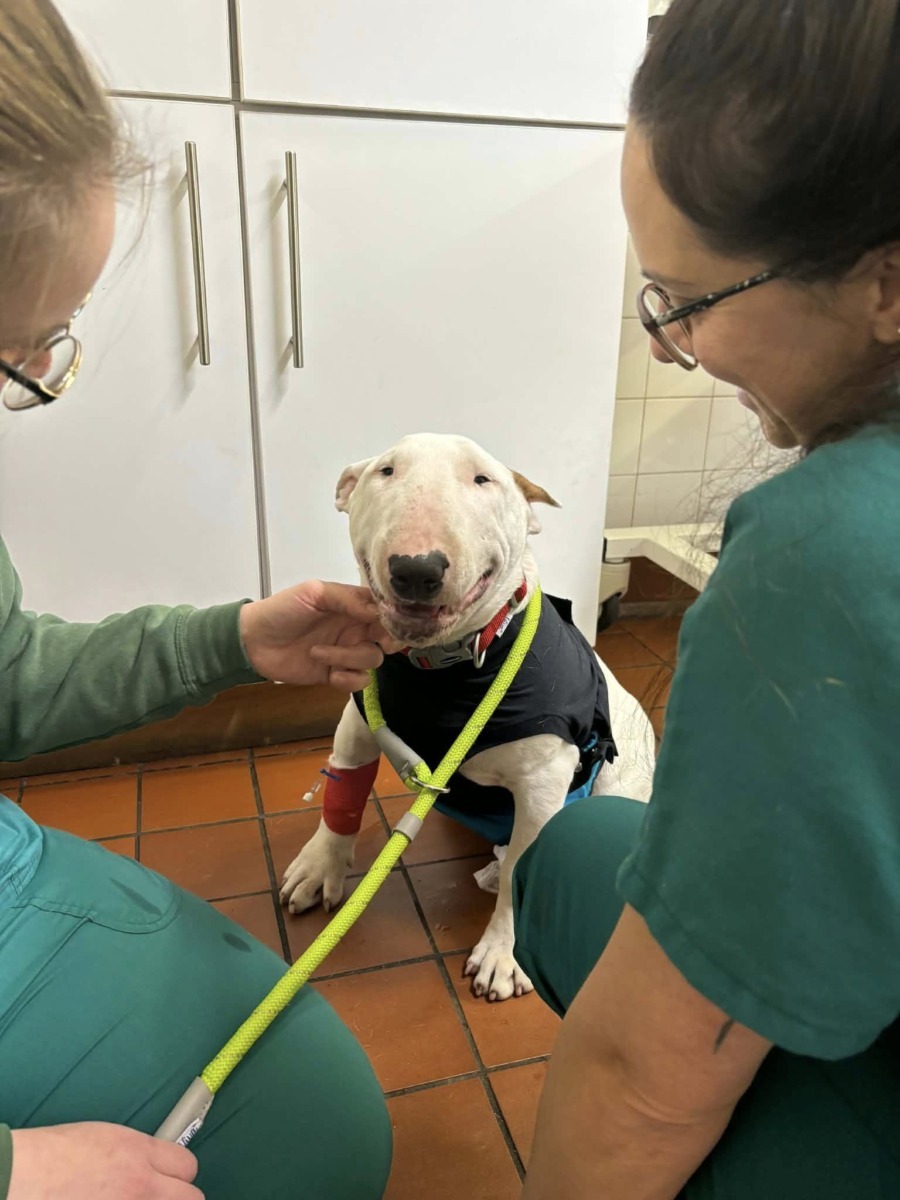 605277659_1461624795838164_2657553621860669921_n